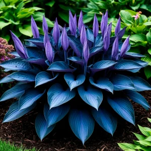 Хоста Сикрет Гров купить по цене от 570р. в интернет-магазине «Посадика» с доставкой почтой в в Ясногорске и по всей России – [изображение №1].